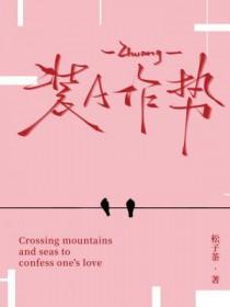 装A作势松子茶简介